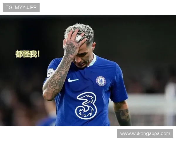 与顶级中场竞争:恩佐如何证明身价 与顶级中场竞争:恩佐如何证明身价