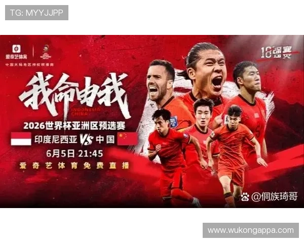奥地利冲击2026世界杯：预选赛赛程、出线前景与关键战分析