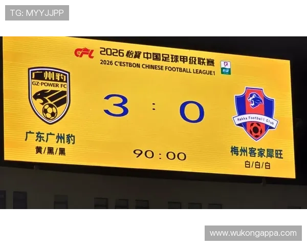 广东广州豹全力争胜意在冲击中乙积分榜升级区 广东广州豹全力争胜意在冲击中乙积分榜升级区